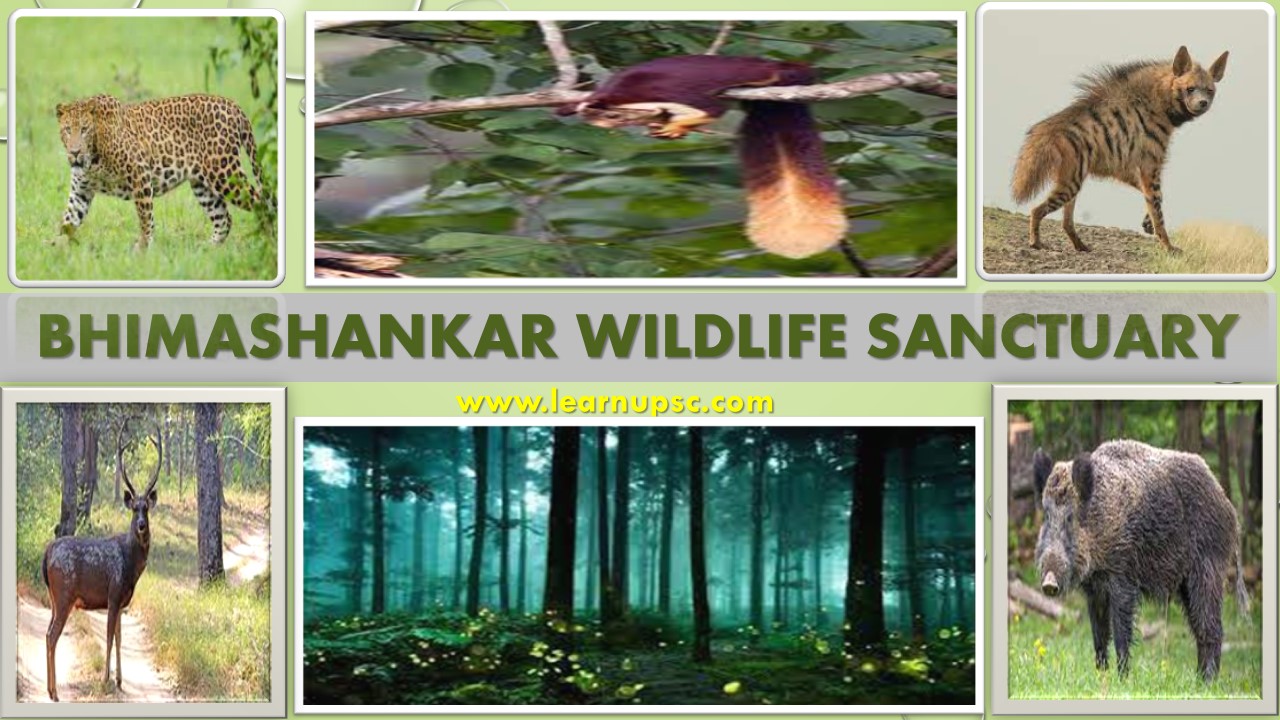 Bhimashankar Sanctuary